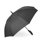 Parapluie ville auto
