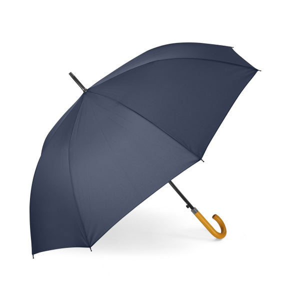 Parapluie ville auto