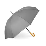 Parapluie ville auto
