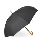 Parapluie ville auto