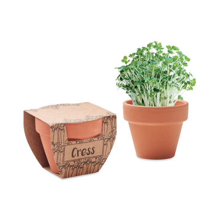 Pot avec graines de cresson