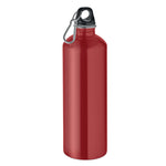 Bouteille à simple paroi 1L