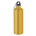 Bouteille à simple paroi 1L