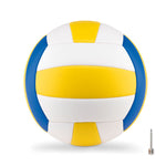 Ballon de volley